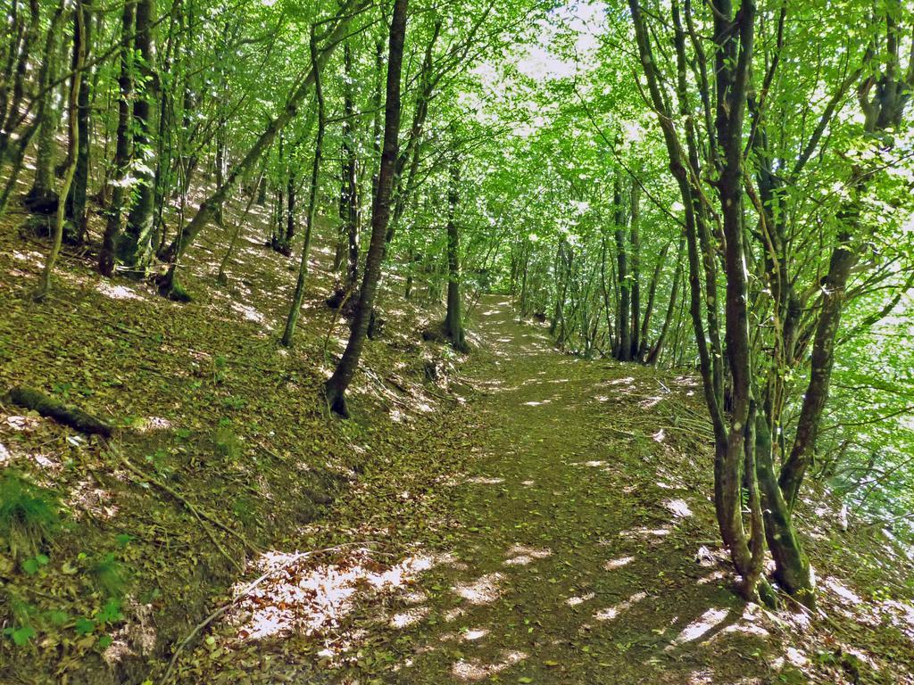 Locanda Le Panche Pistoia Esterno foto